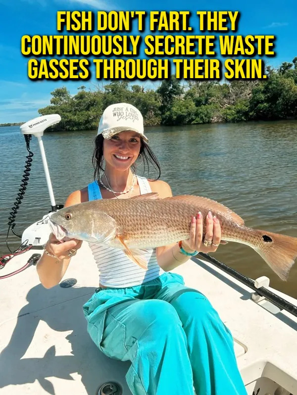 Interesting Facts (15 pics)