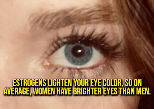 Interesting Facts (15 pics)