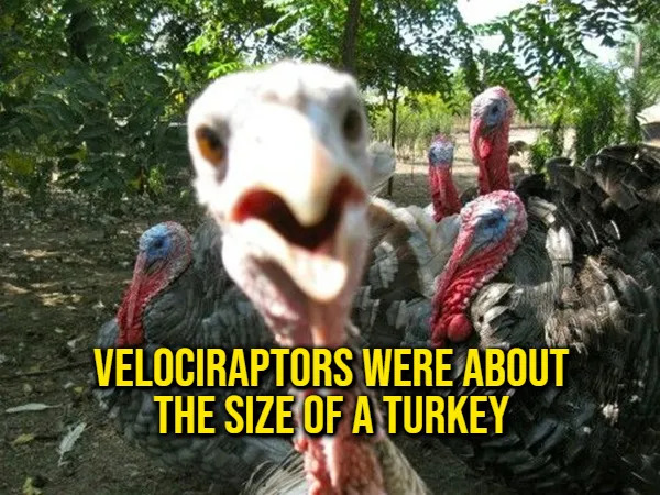 Interesting Facts (15 pics)