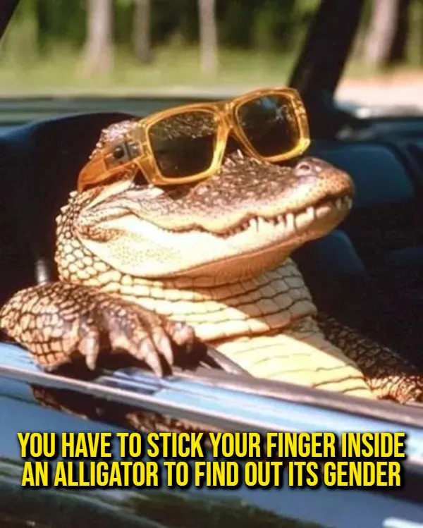 Interesting Facts (15 pics)