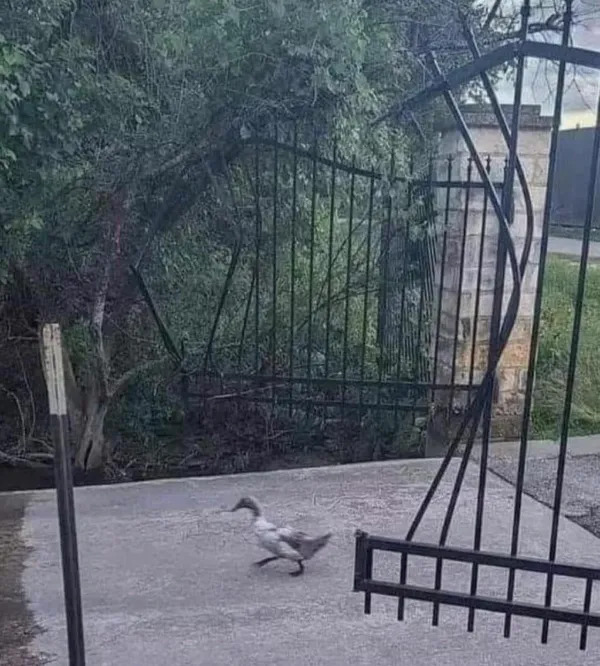 What Is Going On Here? (25 pics) What Is Going On Here? (25 pics)