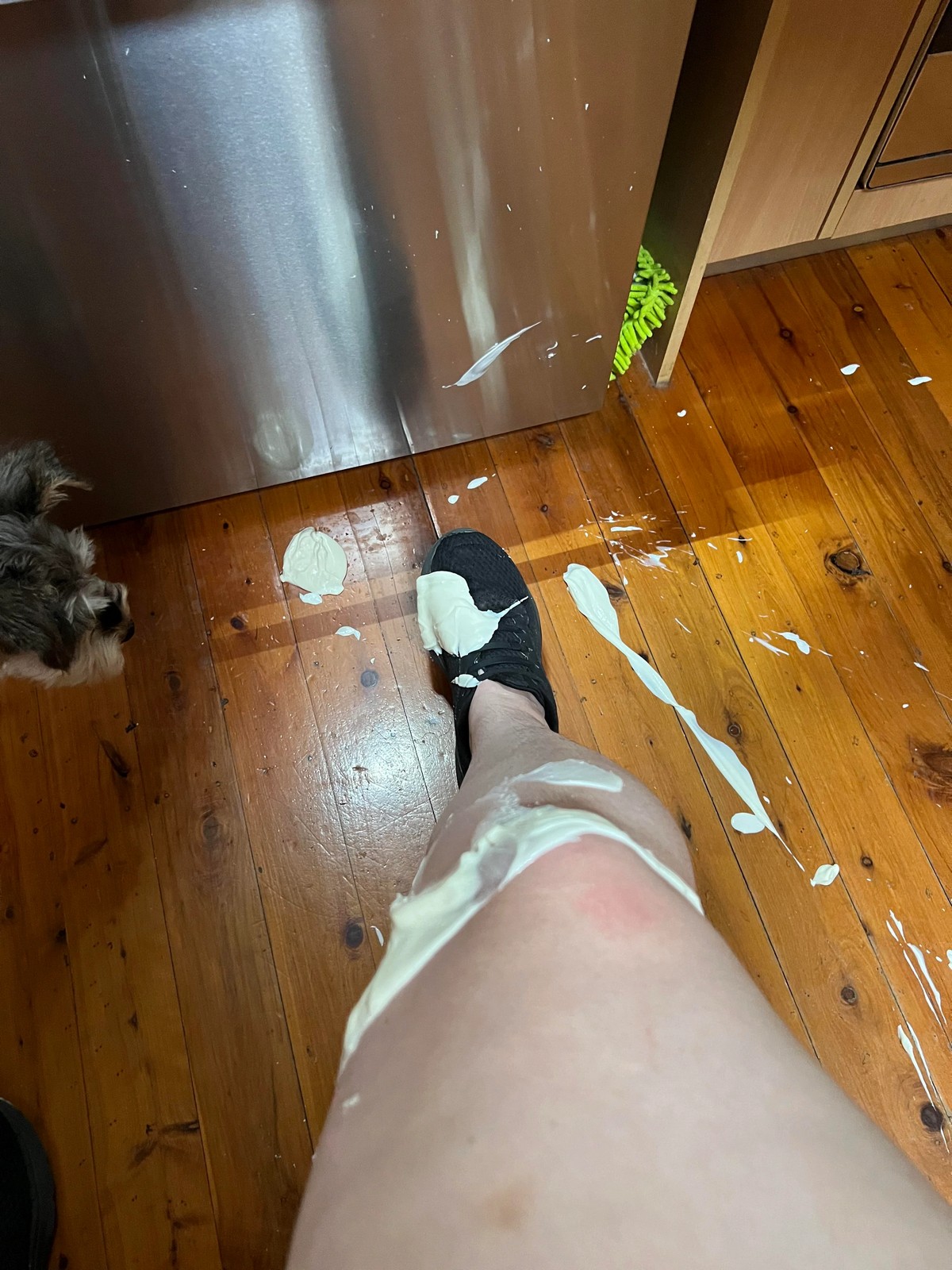 Bad Days Happen (25 pics)