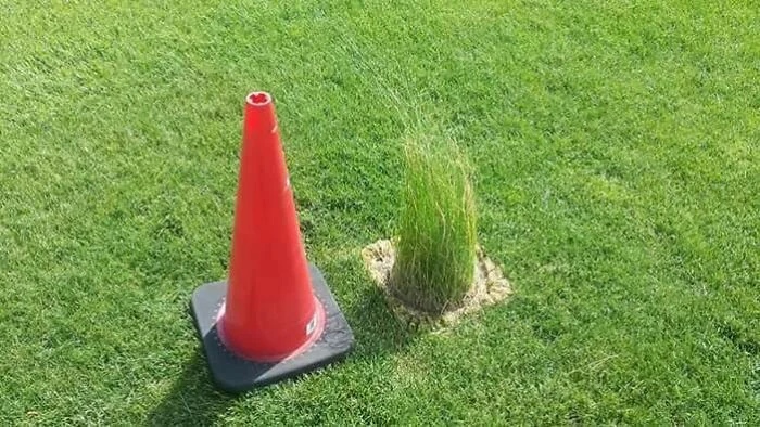 Epic Fails (23 pics)