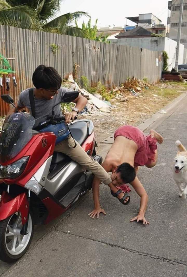 Daily Pictures. Part 1 (77 pics)