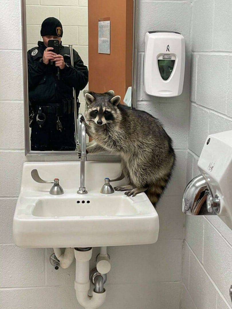 Daily Pictures. Part 1 (77 pics)