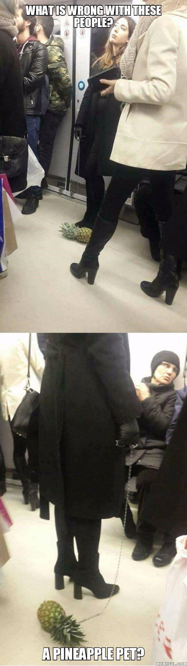 Daily Pictures. Part 2 (76 pics)