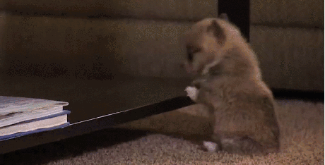 Acid GIFs, August 14 (25 gifs)