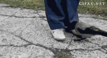 Acid GIFs, August 14 (25 gifs)
