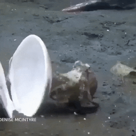 Acid GIFs, August 14 (25 gifs)