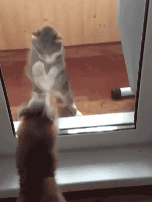 Acid GIFs, August 14 (25 gifs)