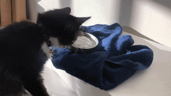 Acid GIFs, August 14 (25 gifs)