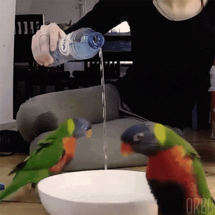 Acid GIFs, August 14 (25 gifs)