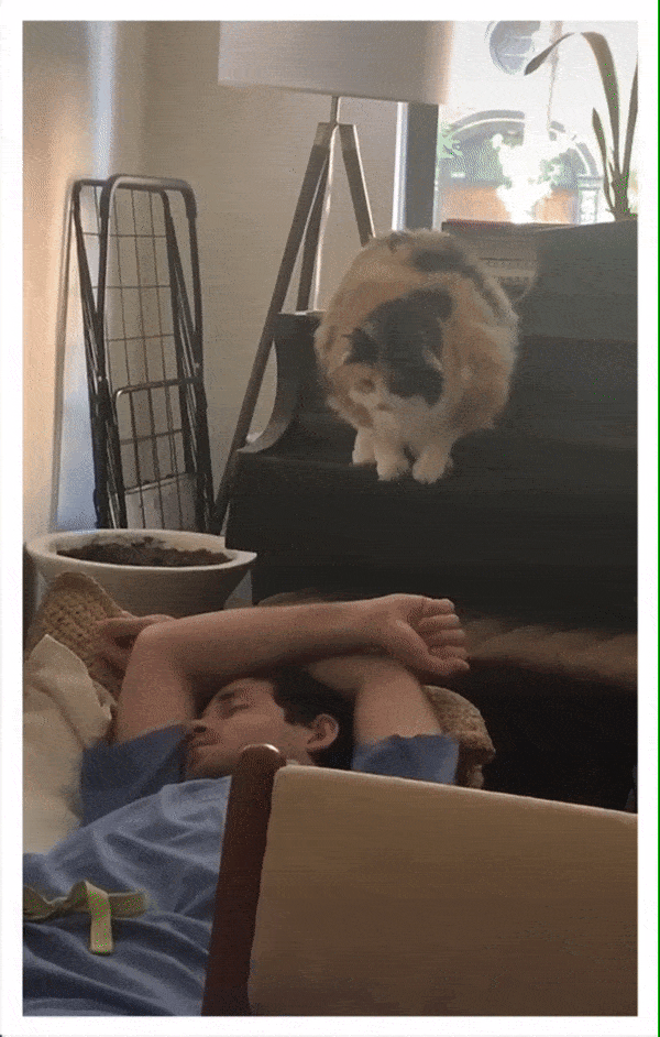 Acid GIFs, August 14 (25 gifs)