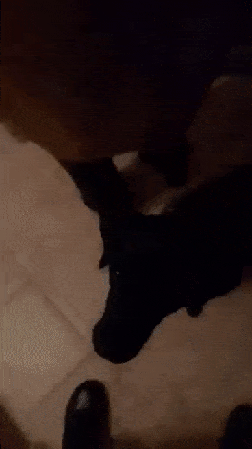 Acid GIFs, August 14 (25 gifs)