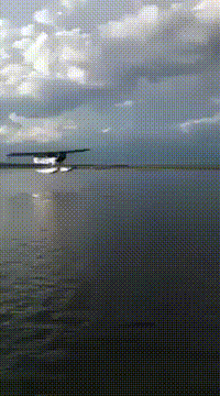 Acid GIFs, August 14 (25 gifs)