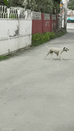 Acid GIFs, August 14 (25 gifs)