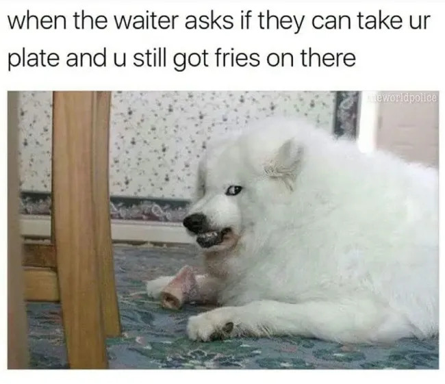 Random Memes (21 pics) Random Memes (21 pics)