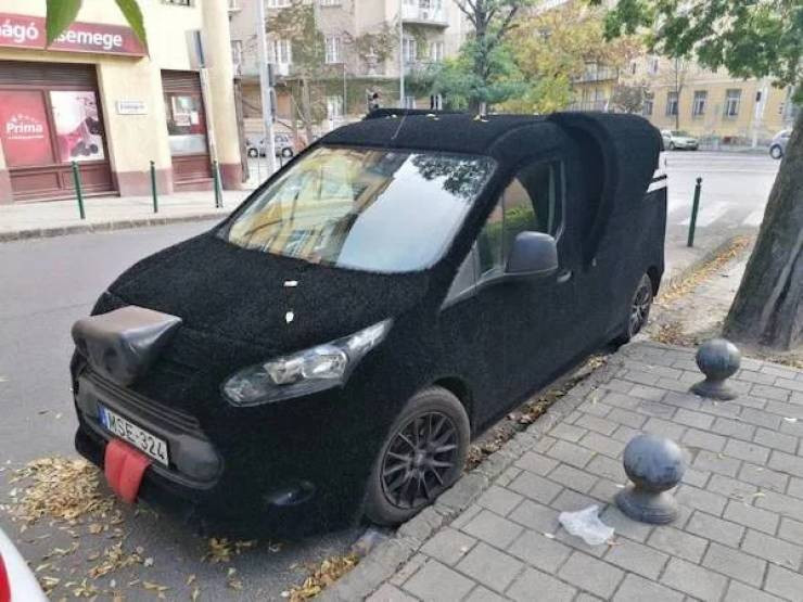 Crazy Tuning (25 pics)
