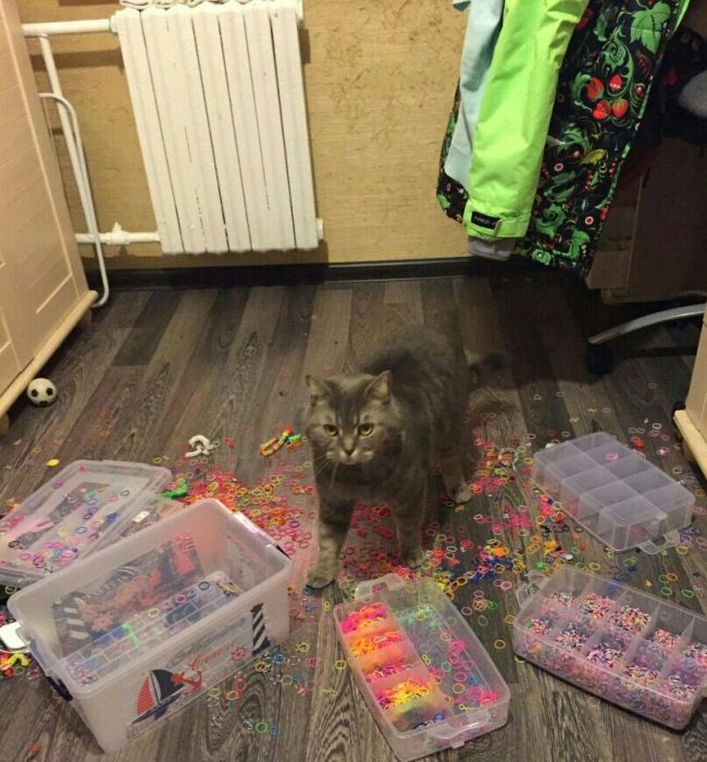 Bad Days Happen (25 pics)
