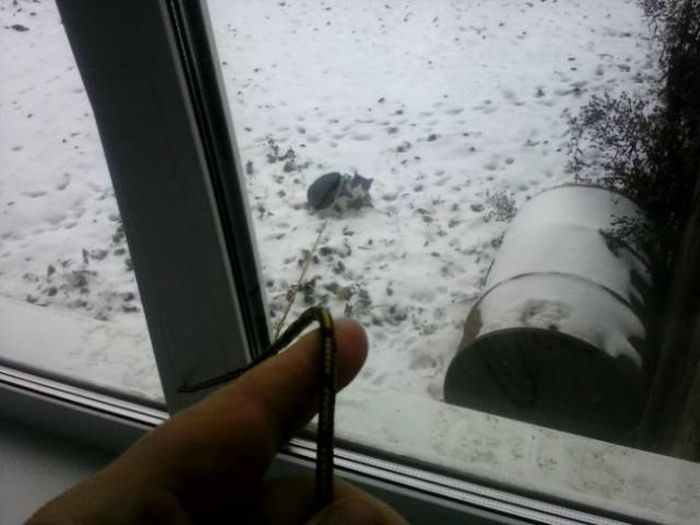 Redneck Inventions And Repairs (23 pics)