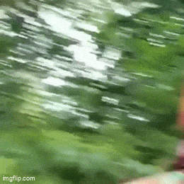Acid GIFs, August 17 (25 gifs) Acid GIFs, August 17 (25 gifs)