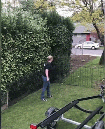Acid GIFs, August 17 (25 gifs) Acid GIFs, August 17 (25 gifs)
