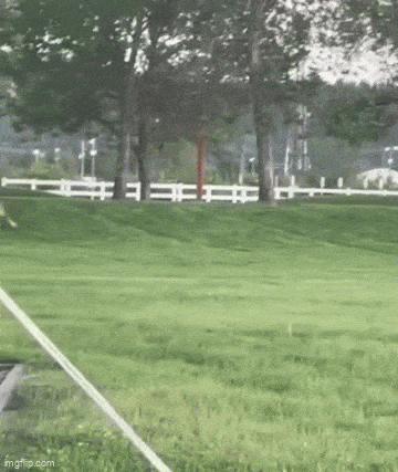 Acid GIFs, August 17 (25 gifs) Acid GIFs, August 17 (25 gifs)