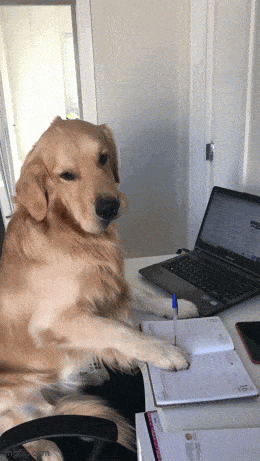 Acid GIFs, August 17 (25 gifs) Acid GIFs, August 17 (25 gifs)