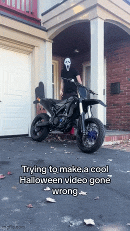 Acid GIFs, August 17 (25 gifs) Acid GIFs, August 17 (25 gifs)