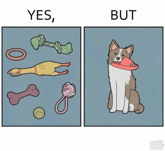 Hilarious ''Yes, But'' Pictures (21 pics)