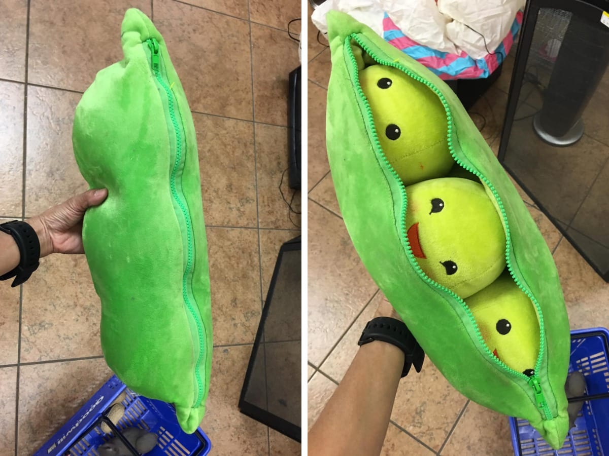 Strange Finds In Thrift Shops (15 pics)
