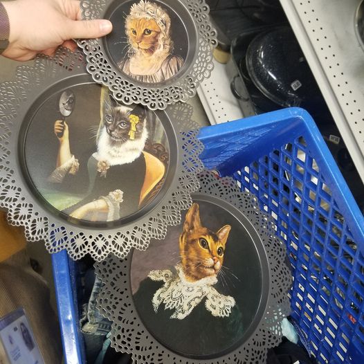Strange Finds In Thrift Shops (15 pics)