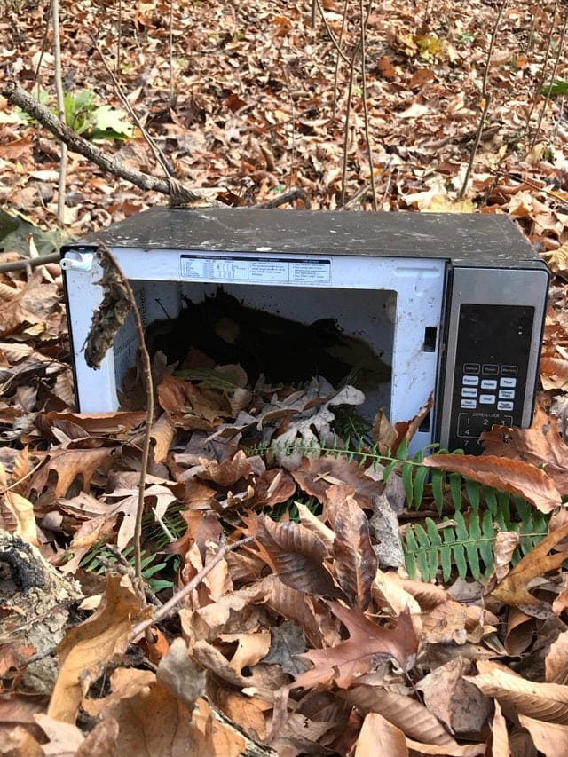 Weird Finds In The Woods (17 pics)
