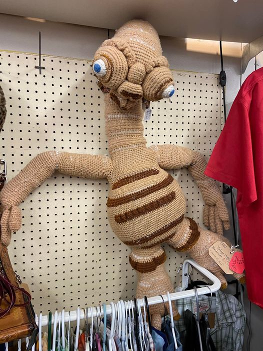 Strange Finds In Thrift Shops (15 pics)