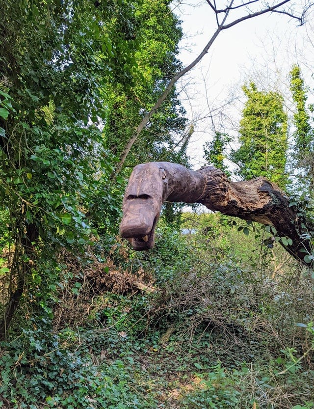 Weird Finds In The Woods (17 pics)