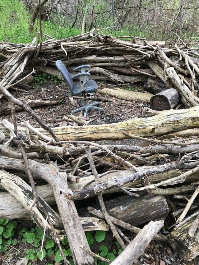 Weird Finds In The Woods (17 pics)