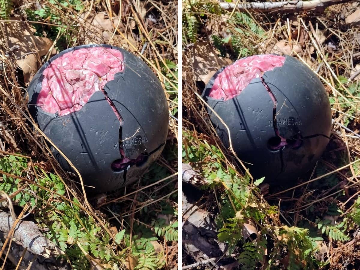 Weird Finds In The Woods (17 pics)
