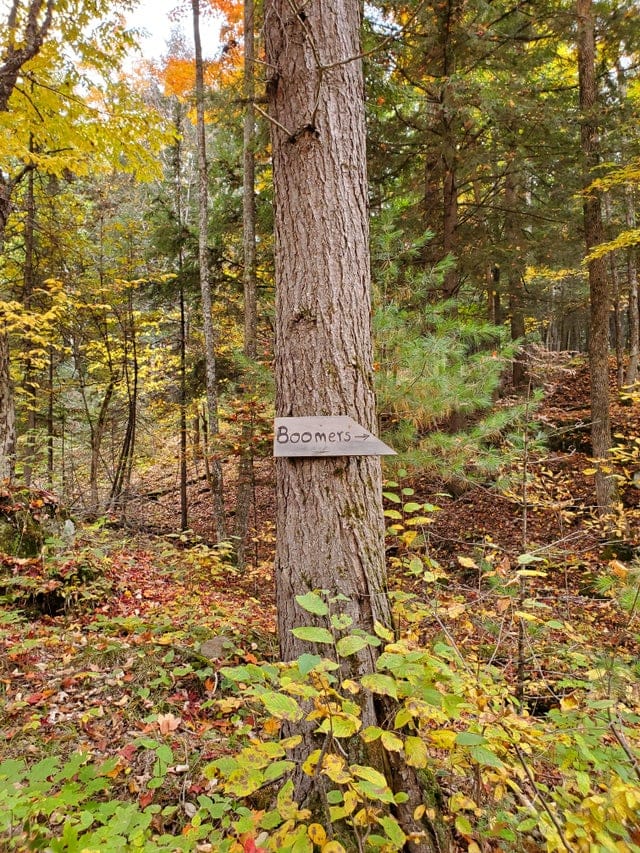 Weird Finds In The Woods (17 pics)