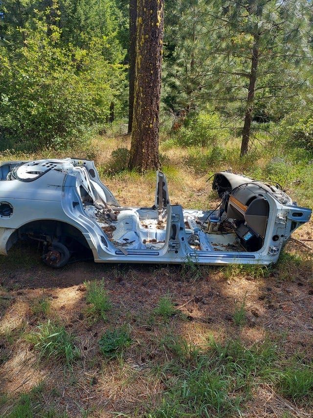 Weird Finds In The Woods (17 pics)
