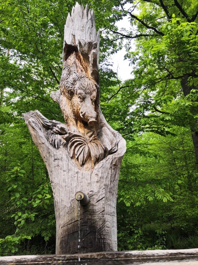 Weird Finds In The Woods (17 pics)