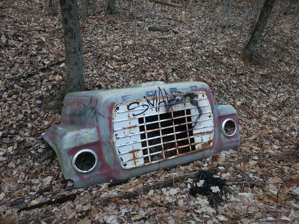 Weird Finds In The Woods (17 pics)