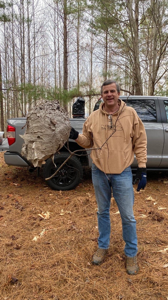 Weird Finds In The Woods (17 pics)