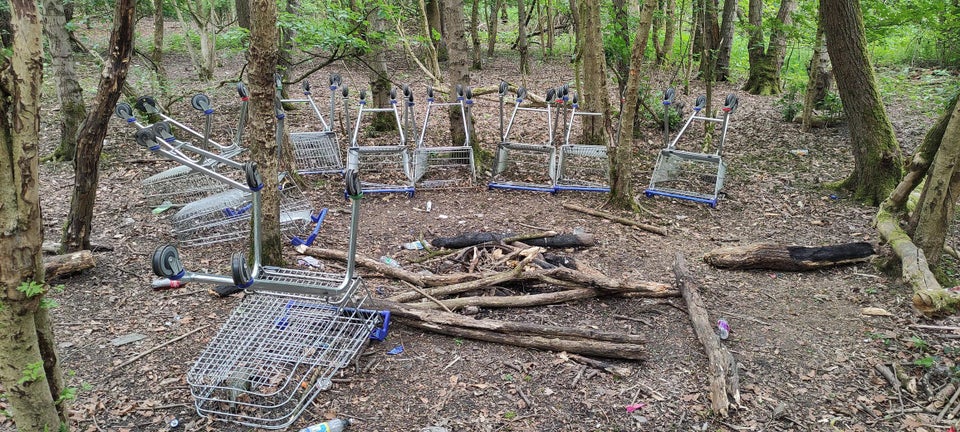 Weird Finds In The Woods (17 pics)
