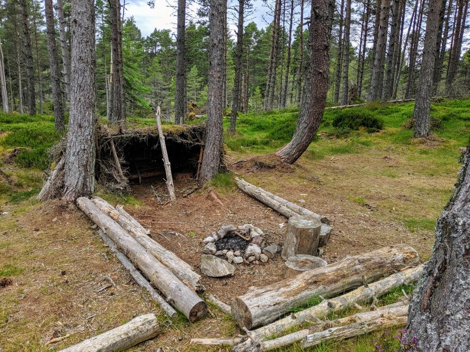 Weird Finds In The Woods (17 pics)