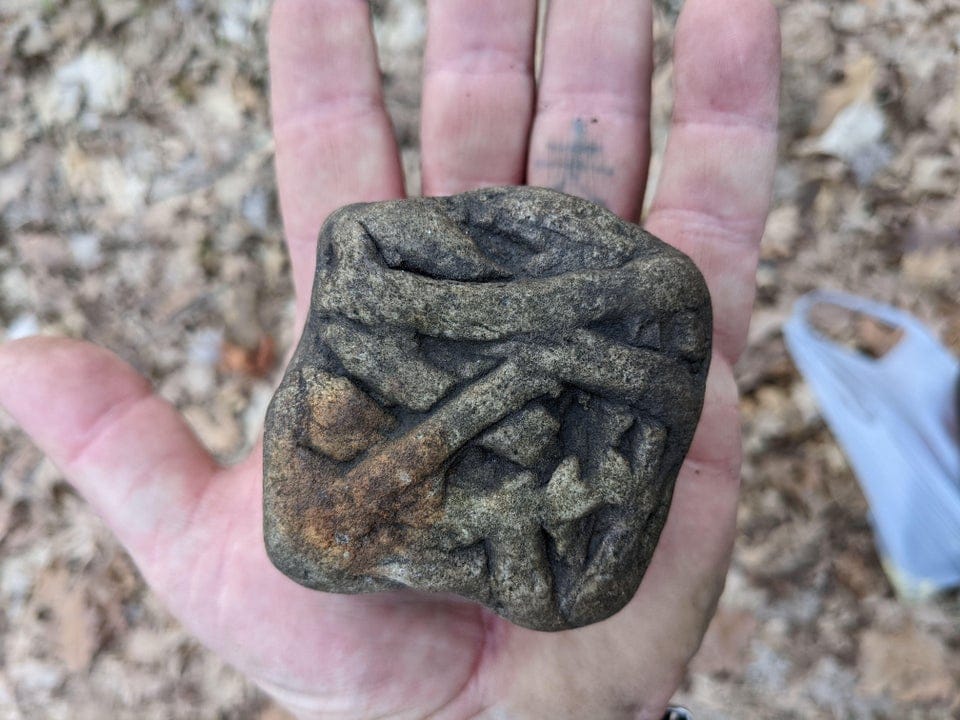 Weird Finds In The Woods (17 pics)