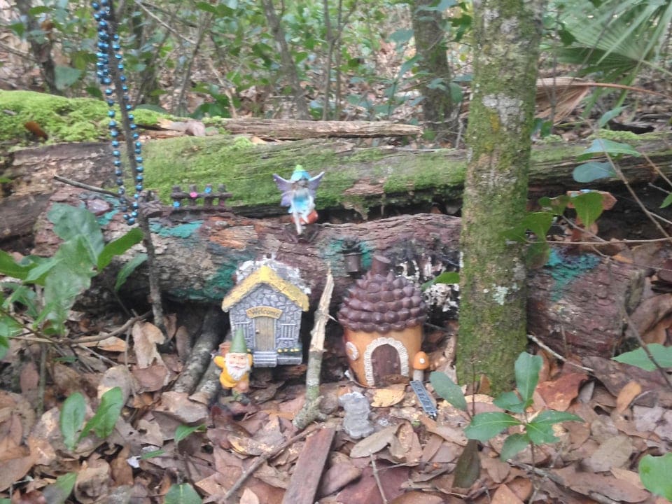 Weird Finds In The Woods (17 pics)