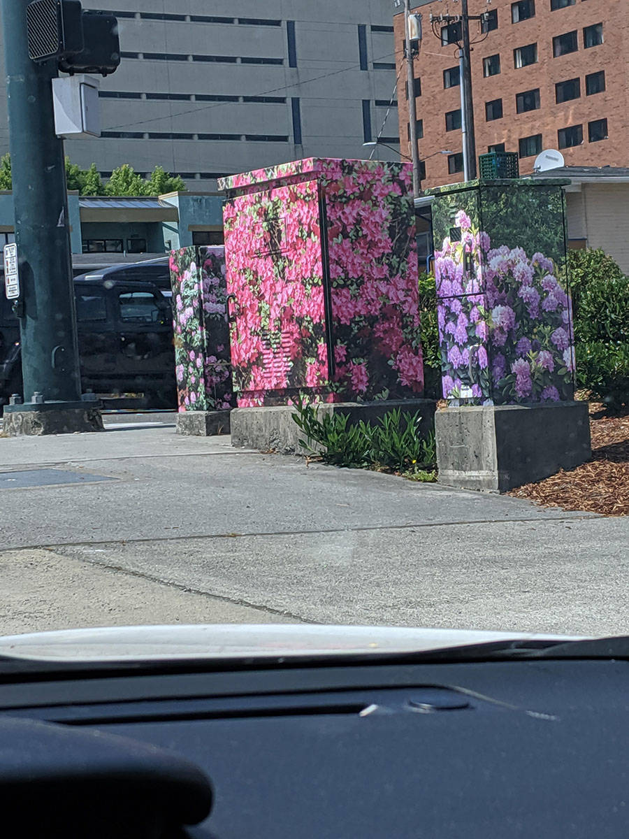 Daily Pictures. Part 1 (73 pics)