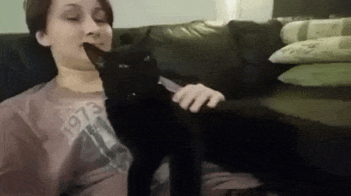Acid GIFs, August 18 (25 gifs)