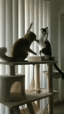 Acid GIFs, August 18 (25 gifs)