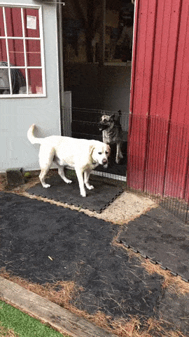 Acid GIFs, August 18 (25 gifs)